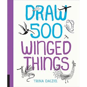 Draw 500 winged things