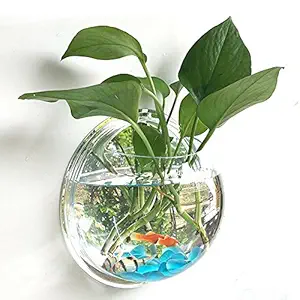 GlobalNiche? Clear, S: Acrylic Mini Wall Mounted Hanging Aquarium Fish Tank Aquarium Fish Bowl