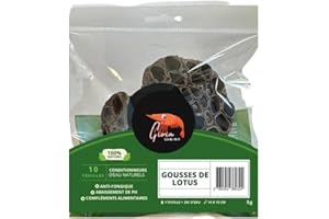 Gioia SHRIMP Gousses de Lotus x2 / Décors/Conditionneur d'eau Naturel pour Votre Aquarium/Poissons, Crevettes/Cachettes