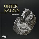 Image de Unter Katzen