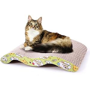 Caiyuangg Katze Kratzt Tafel Wellpappe Schleifklaue Spielmatte M-förmige mit Katzenminze