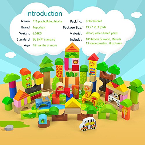 TOP BRIGHT Wooden Building Blocks Set - 100 Blocks Forest Adventure 13 Scene Puzzles Game
