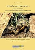 Testudo und Hermanni – zwei Schildkröten, wie sie unterschiedlicher nicht sein können: Eine wahre Geschichte über die Notwendigkeit der naturnahen Haltung von Griechischen Landschildkröten bei Amazon kaufen