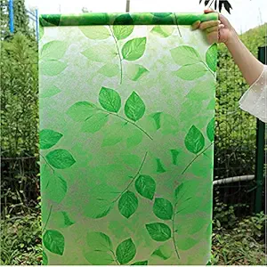 Indian Royals Vinyl New Window Wallpaper, Wall Poster, Wall Sticker, PVC Self Adhesive for Bedrooms, Living Room, Hall, Play Room, Garden Home Decoration Stickers (Multicolour, 200 x 45 cm), Fantasy