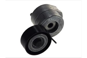 INA 534 0053 10 Braccio tenditore Cinghia Poly-V