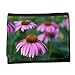 Produktbild Portemonnaie Geldbörse Brieftasche // M00293208 Echinacea-Blumen-Kräutergarten // Small Size Wallet