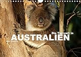 Die Tierwelt in Australien (Wandkalender 2019 DIN A4 quer): Die faszinierende und exotische Tierwelt Australiens in einem Kalender vom Reisefotografen ... (Monatskalender, 14 Seiten ) (CALVENDO Natur) by