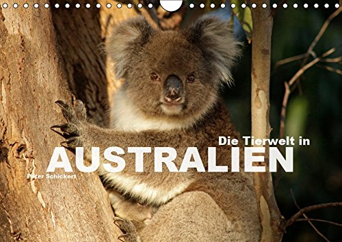 Die Tierwelt in Australien (Wandkalender 2019 DIN A4 quer): Die faszinierende und exotische Tierwelt Australiens in einem Kalender vom Reisefotografen ... (Monatskalender, 14 Seiten ) (CALVENDO Natur)