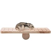 Hamster Wippen-Tunnel Spielzeug – Aus Kunststoff, Mit Höhle, Für Zwerg- & Rennmäuse