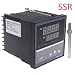 Produktbild Exing Thermostat Temperaturregler,PID-Temperaturregler REX-C900 K Eingang SSR-Relaisausgang 96 * 96mm Thermostat (SSR)