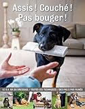Assis ! couché ! pas bouger !