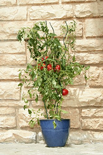 Windhager Tomatenspiralstab glanzverzinkt, 150 cm - 3
