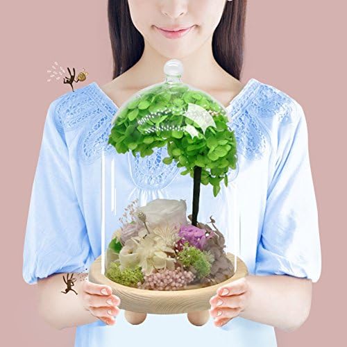 Christmas tree eternal flower roses wishing tree glass cover creative flower box gift box decoration birthday valentine 's day-B 4x8inch