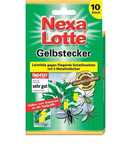Preisvergleich Produktbild 3 x Nexa Lotte Gelbstecker gegen fliegende Schadinsekten / je 10St / Insektizidfrei / gegen Weiße Fliege, Trauermücke und Essigfliegen