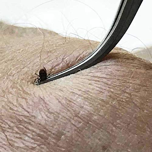 REMOS Tick Remover Made of Stainless Steel with Curved tip for Humans & Animals - Image 7