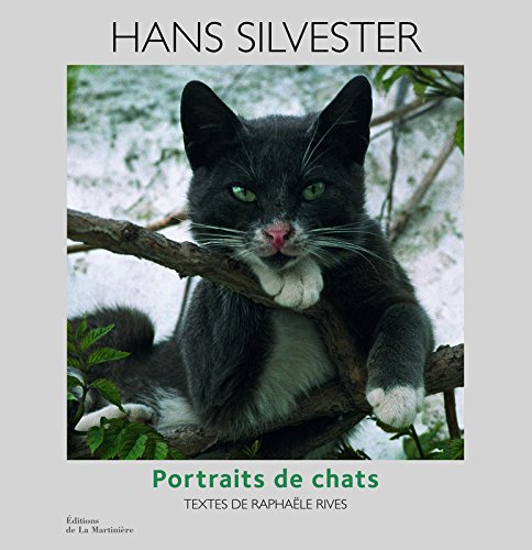 Download Portraits de chats