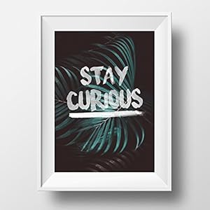 STAY CURIOUS / Poster von Mr&Mrs Druck / Wandbild / Kunstdruck /