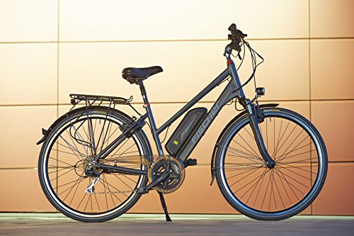 Fischer Damen E-Bike Trekking 24-Gang Proline ETD 1606, 28 Zoll, 19183 - 3