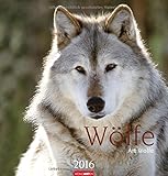 Image de Wölfe 2016