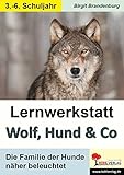 Lernwerkstatt Wolf, Hund & Co: Die Familie der Hunde näher beleuchtet by 