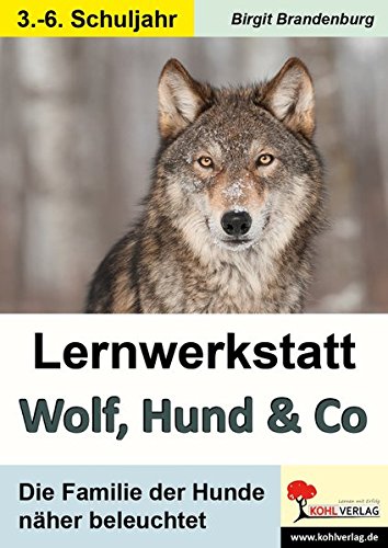 Lernwerkstatt Wolf, Hund & Co: Die Familie der Hunde näher beleuchtet