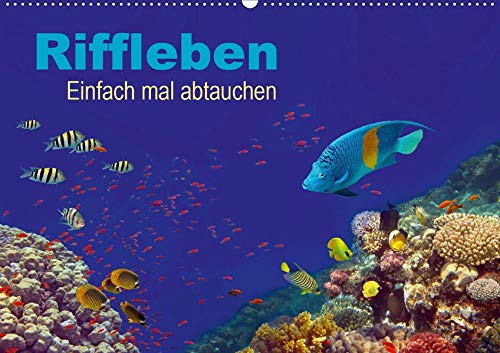 Riffleben - Einfach mal abtauchen (Wandkalender 2020 DIN A2 quer)