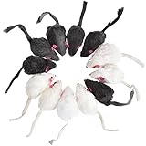 12 PCS Katze Maus Spielzeug Katze Mäuse Spielzeug für Haustier Katze Kitten mit Sound