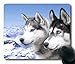 Produktbild Siberian Husky s Customized Made to Order Support Ready 250mm*300mm