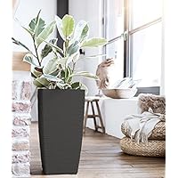 Suchergebnis Auf Amazon De Fur Saulen Pflanze Garten