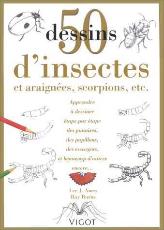 50 Dessins d'insectes