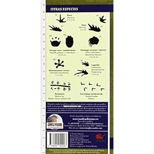 (2ª Ed.) Huellas De Animales - Introduccion A Las Especies Ibericas