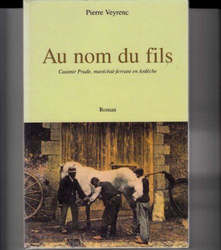 couverture de : Au nom du fils