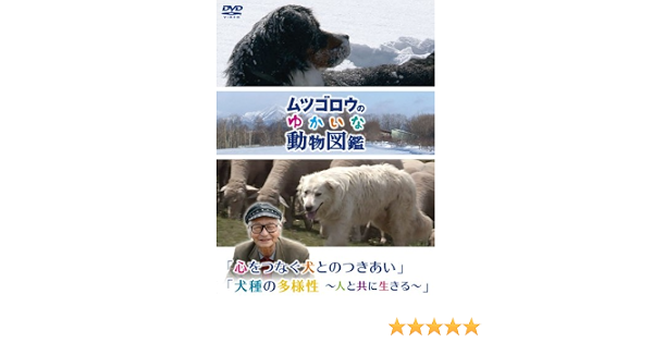 Dvd シリーズ 心をつなぐ犬とのつきあい 犬種の多様性 人と共に生きる ムツゴロウのゆかいな動物図鑑 Www Esyav Com