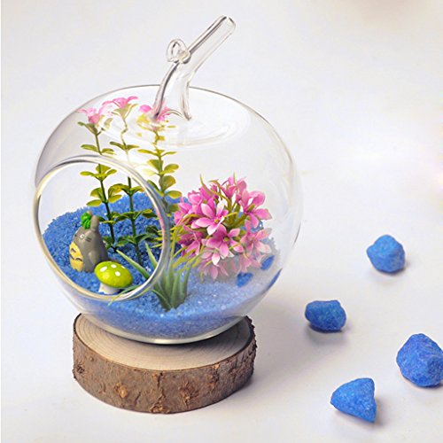 Klar Apfel Förmige Glas Hängen Vase Flasche für Pflanze Blume Schmuck - 3