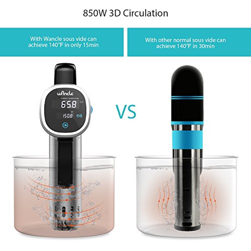 Wancle Sous Vide Präzisionskochtopf Immersion Zirkulator, Schwarz(Schwarz) - 7