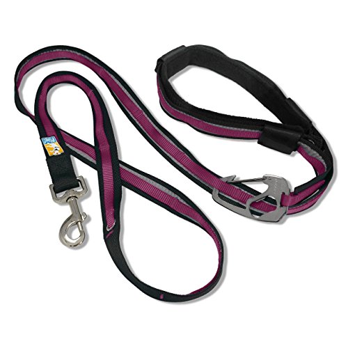 KurgoQuantum 6-in-1 Dog Leash, Multi-Use Dog Lead for Walking & Running, Adjustable, Hands-Free Option, Raspberry