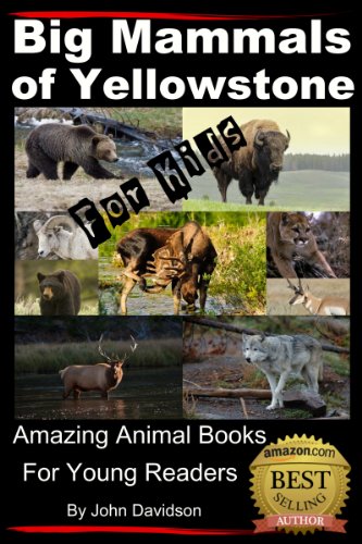 Download Big Mammals of Yellowstone – For Kids – Amazing Animal Books for Young Readers Download Big Mammals of Yellowstone – For Kids – Amazing Animal Books for Young Readers