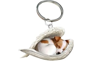 CHAHU Llavero acrílico con diseño de ángel durmiente para perro, diseño de alas de ángel, adornos colgantes para coche, para amantes de los perros