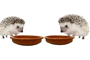 Woid Herz Lot de 2 mangeoires pour hérisson