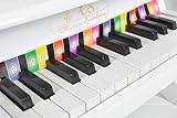 kleines Kinder Mini Klavier ab 3 Jahre in Weiß mit 25 Tasten Kids Piano mit Farbtafel und Liederheft - 6