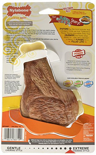 Nylabone-Extreme-Chew-Pork-Chop