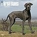 Great Danes 2018 (18 monate Kalender) (Wall-Kalender) by