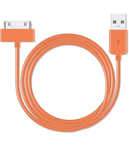 5-Pack 30-pin USB Charger per iPhone / iPad / iPod di carico 5-Pack 30-pin USB Charger per iPhone / iPad / iPod di carico