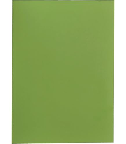 Cartelline Semplici In Cartoncino Bristol 200 Gr - 25x34 Cm - 6