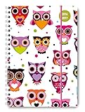 Image de Collegetimer Owls 2016/2017 - Schülerkalender A5 - Weekly - Ringbindung - 224 Seiten
