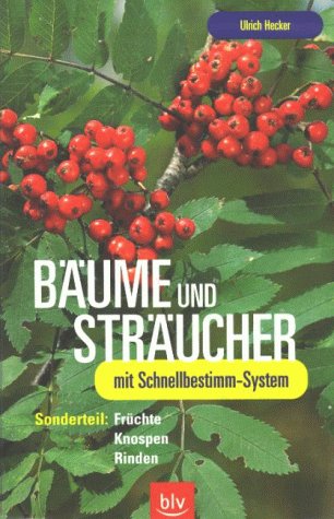 Download Bäume und Sträucher Download Bäume und Sträucher