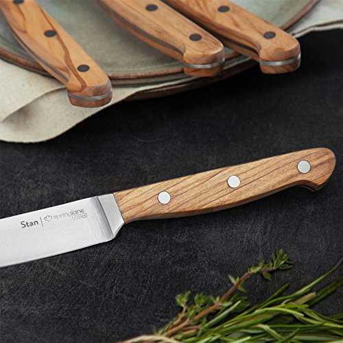 Steakmesser-Set Stan, 4 Stück mit edlen Olivenholz-Griffen, Besteck-Set mit Holzgriffen, 12,5 cm Klingenlänge aus deutschem Stahl inkl. Geschenkbox - 4