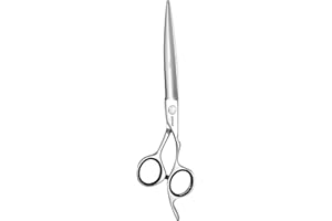 JAGUAR Forbici per capelli HERA 7.0" | Forbici da parrucchiere con gancio forgiato e lama arrotondata | lucidate | Made in Germany