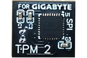 NUHFUFA Modulo di sicurezza TPM 2.0 di ricambio SPI 12pin (12pin-1) modulo di sicurezza per accessori piattaforma GIGABYTE GC-TPM20