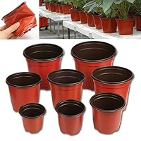 Amazon.es: Recipientes para plantas y accesorios: Jardín ...